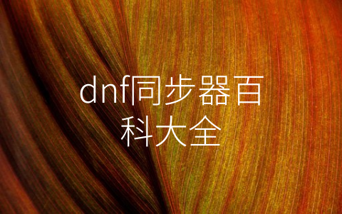 dnf同步器百科大全