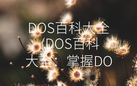 DOS百科大全 (DOS百科大全：掌握DOS操作系统的一切)