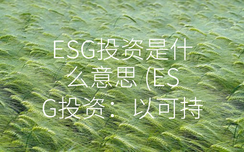 ESG投资是什么意思 (ESG投资：以可持续性为目标的新型投资方式)