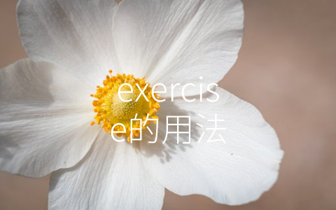 exercise的用法