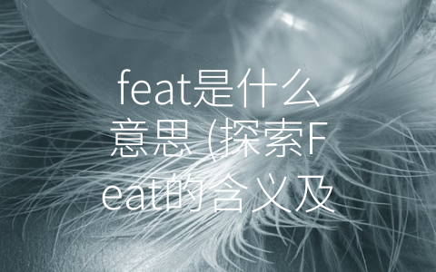 feat是什么意思 (探索Feat的含义及应用。)