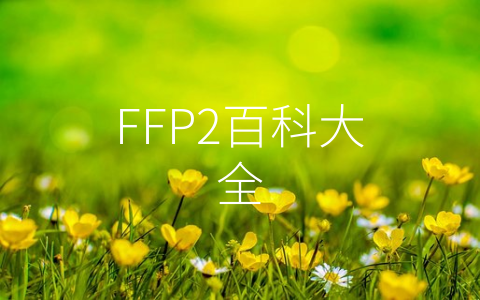 FFP2百科大全