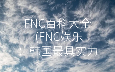 FNC百科大全 (FNC娱乐：韩国最具实力的综合性经纪公司)