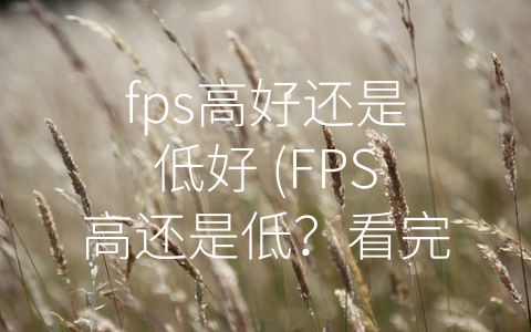 fps高好还是低好 (FPS高还是低？看完这篇文章再做决定！)