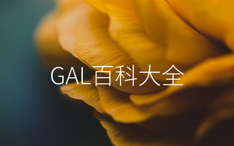 GAL百科大全