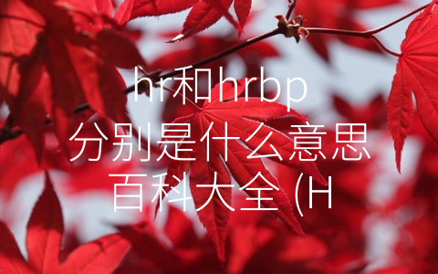 hr和hrbp分别是什么意思百科大全 (HR和HRBP的区别及其在企业中的应用)