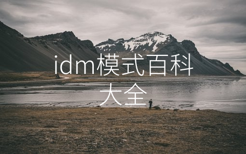 idm模式百科大全