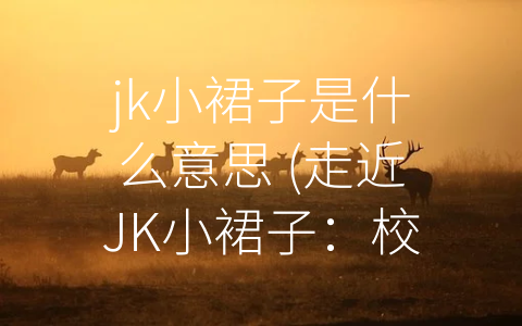 jk小裙子是什么意思 (走近JK小裙子：校服文化与年轻时尚观)