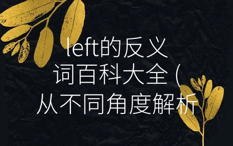 left的反义词百科大全 (从不同角度解析-left”的反义词)