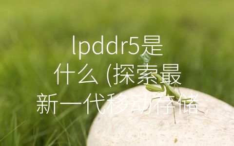 lpddr5是什么 (探索最新一代移动存储器——认识LPDDR5)