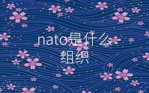 nato是什么组织