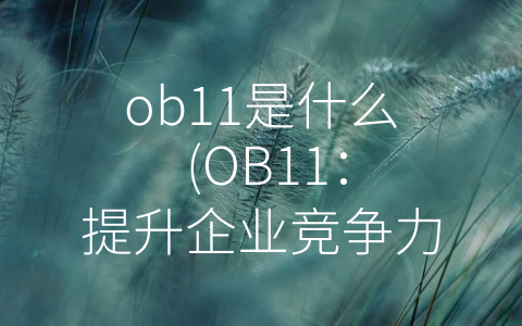 ob11是什么 (OB11：提升企业竞争力的必备管理标准)