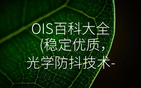 OIS百科大全 (稳定优质，光学防抖技术-OIS百科大全)