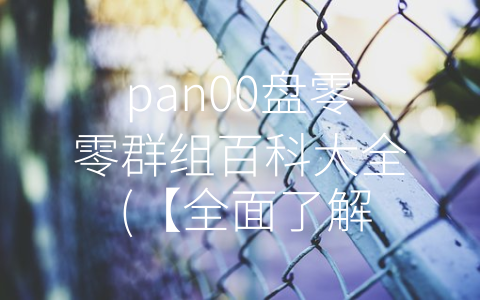 pan00盘零零群组百科大全 (【全面了解】pan00盘零零群组的优势与特点)