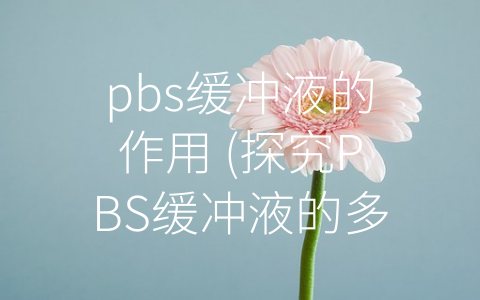 pbs缓冲液的作用 (探究PBS缓冲液的多重功能)