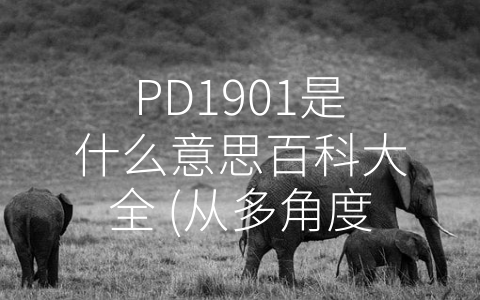 PD1901是什么意思百科大全 (从多角度解析OPPO手机PD1901的强大之处)