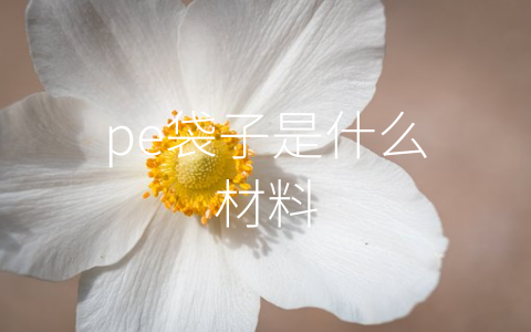 pe袋子是什么材料