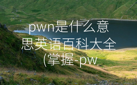 pwn是什么意思英语百科大全 (掌握-pwn”这一网络用语)