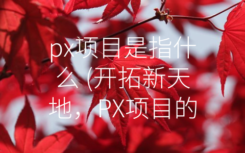 px项目是指什么 (开拓新天地，PX项目的现状与发展趋势)