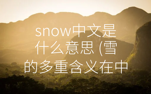 snow中文是什么意思 (雪的多重含义在中国文化中的体现)