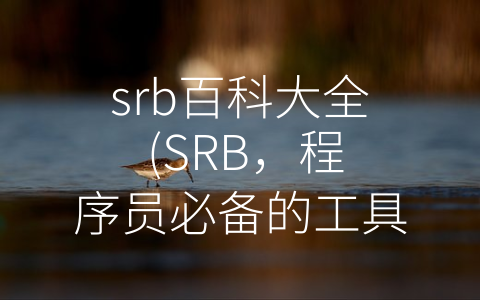 srb百科大全 (SRB，程序员必备的工具！)