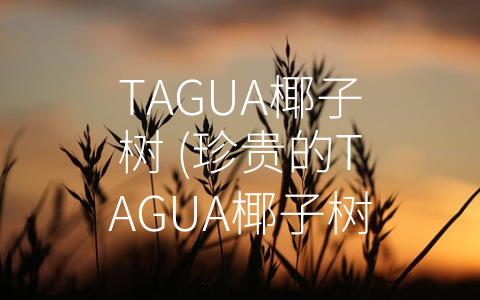 TAGUA椰子树 (珍贵的TAGUA椰子树和其绿色象牙)