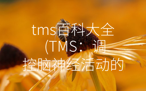 tms百科大全 (TMS：调控脑神经活动的技术新选择)