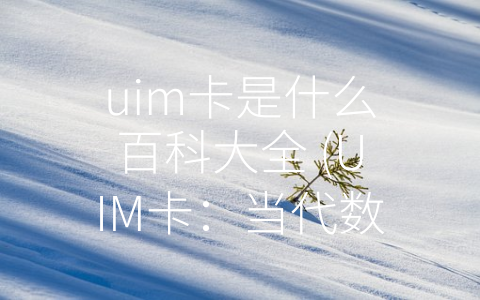 uim卡是什么百科大全 (UIM卡：当代数字化生活的重要支撑)