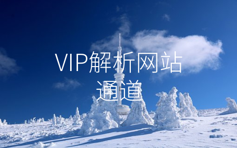 VIP解析网站通道