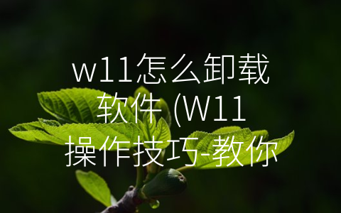 w11怎么卸载软件 (W11操作技巧-教你简单卸载软件)