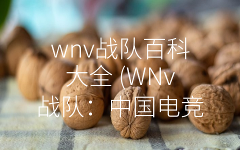 wnv战队百科大全 (WNv战队：中国电竞文化的重要代表)