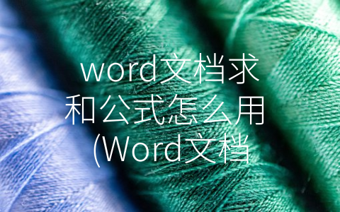 word文档求和公式怎么用 (Word文档求和公式的正确使用方法)