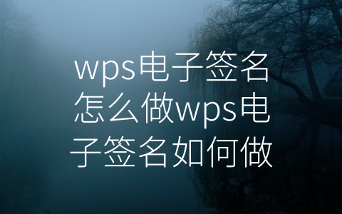 wps电子签名怎么做wps电子签名如何做