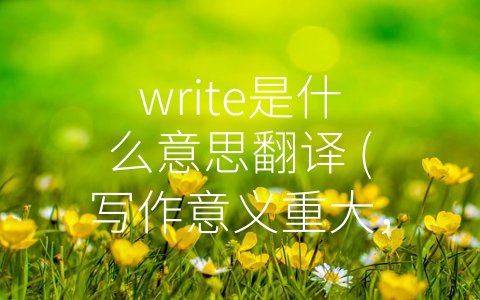 write是什么意思翻译 (写作意义重大，助力职场和个人成长)