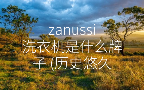 zanussi洗衣机是什么牌子 (历史悠久的Zanussi洗衣机备受消费者青睐)