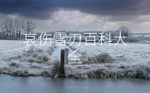 哀伤雪刃百科大全