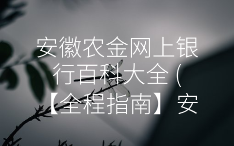 安徽农金网上银行百科大全 (【全程指南】安徽农村信用社网上银行使用教程)