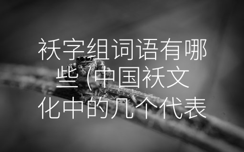 袄字组词语有哪些 (中国袄文化中的几个代表性词语)