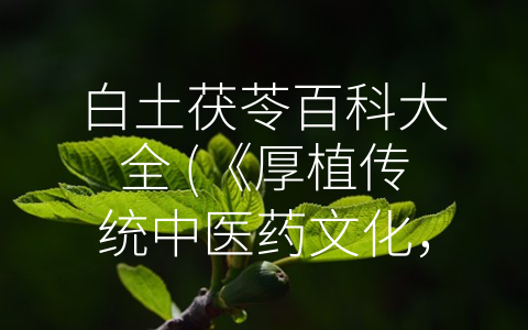 白土茯苓百科大全 (《厚植传统中医药文化，探寻白土茯苓的神奇功效》。)