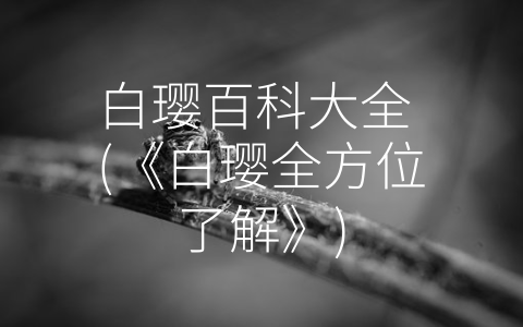 白璎百科大全 (《白璎全方位了解》)