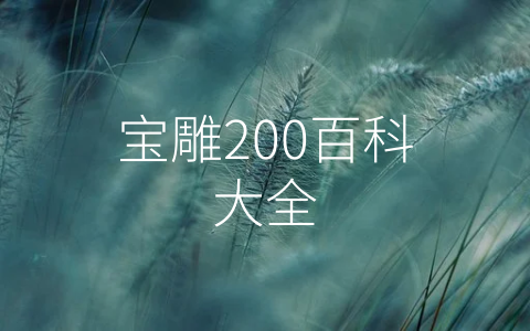 宝雕200百科大全