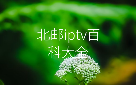 北邮iptv百科大全