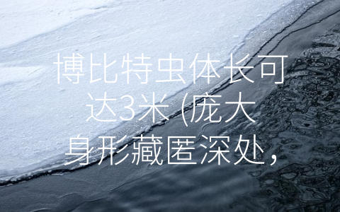 博比特虫体长可达3米 (庞大身形藏匿深处，博比特虫：地球上最长的无脊椎动物)