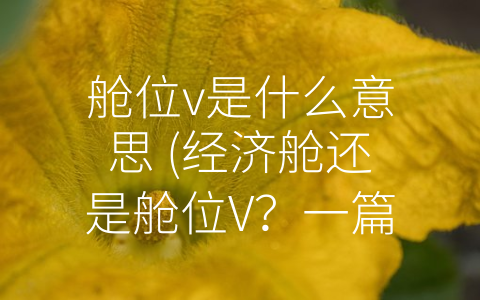 舱位v是什么意思 (经济舱还是舱位V？一篇简洁指南)