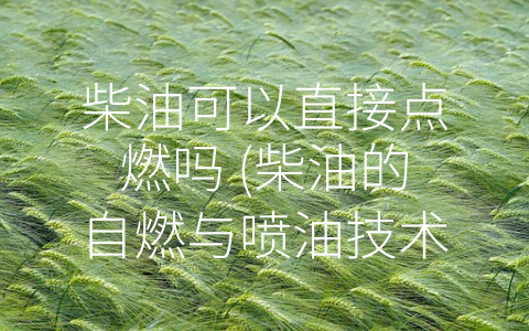 柴油可以直接点燃吗 (柴油的自燃与喷油技术)