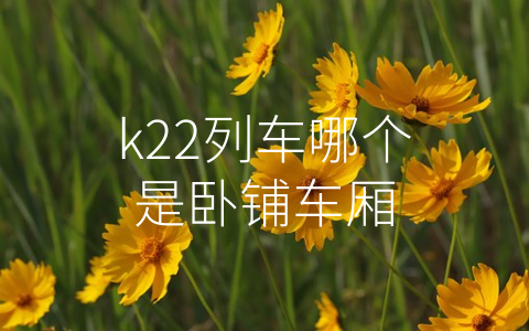 k22列车哪个是卧铺车厢