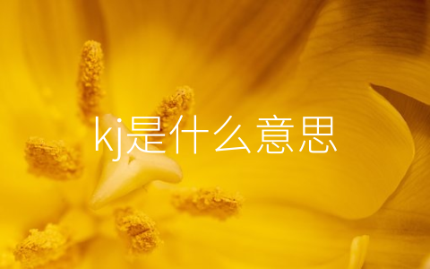 kj是什么意思