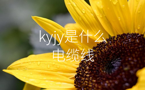 kyjy是什么电缆线