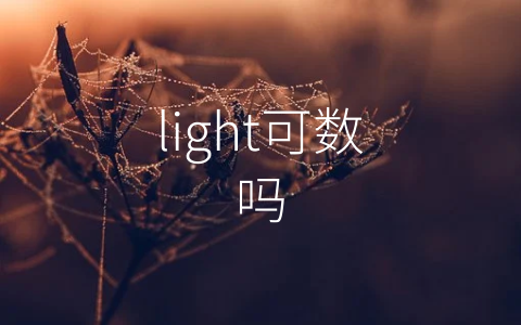 light可数吗