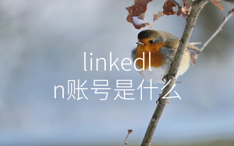 linkedln账号是什么